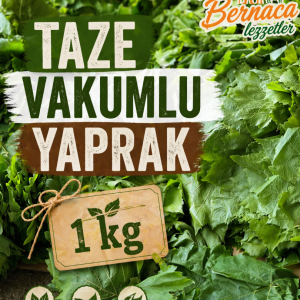  VAKUMLU ASMA YAPRAK TAZE ( 1 KG )